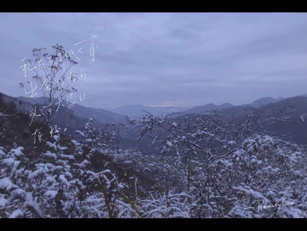 植物大战僵尸16